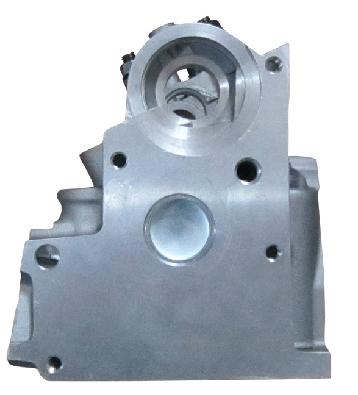 AMC908537 0200CP 02.00.W3 Peugeot WJZ cylinder head​